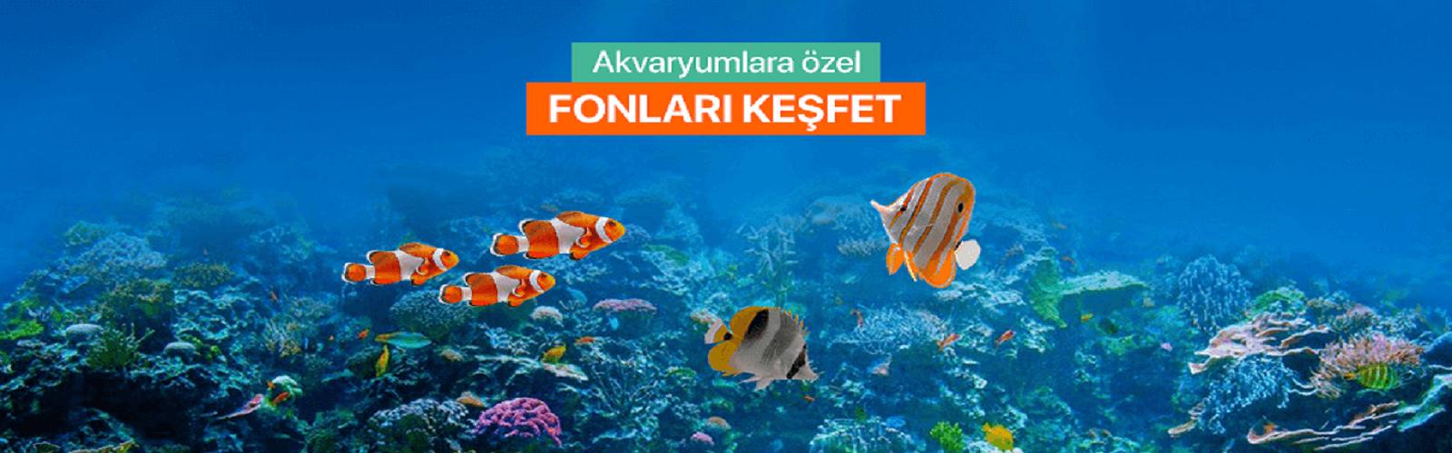 Akvaryum arka fonlar